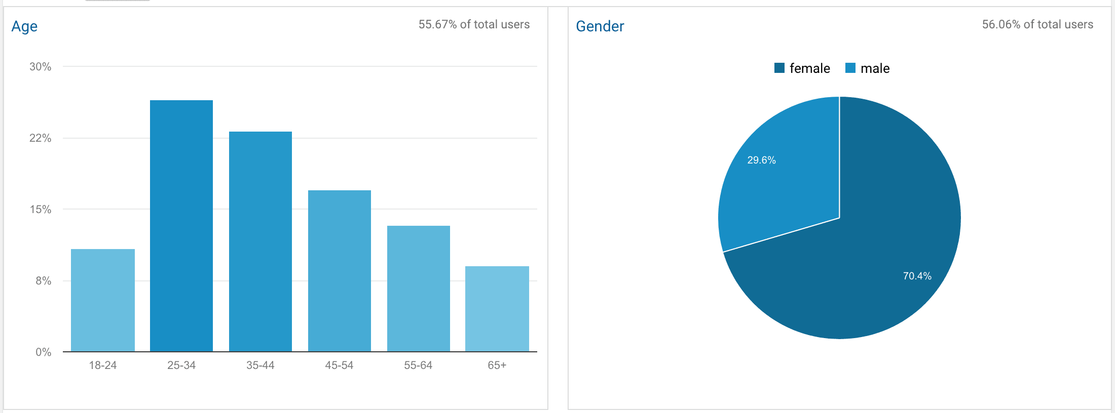 Google Analytics Demographics