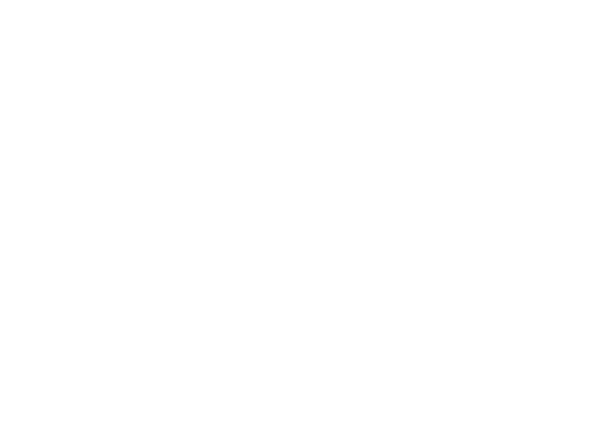 bull